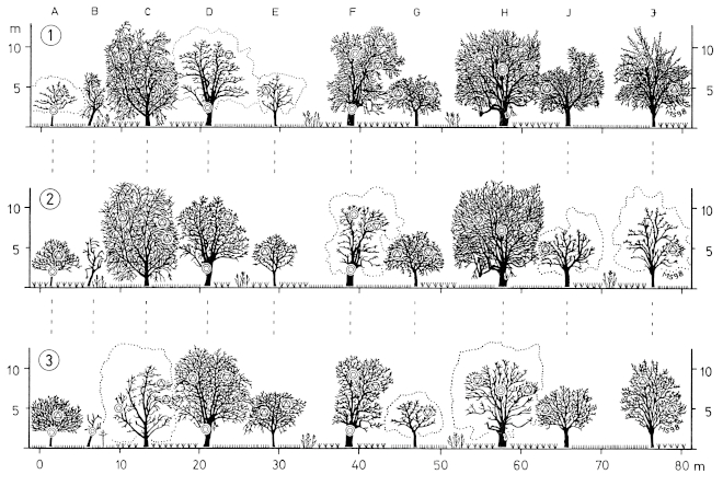 Ecological management of traditional orchards