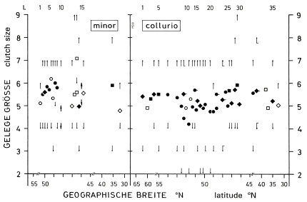 Clutch size of shrikes L. collurio and L. minor, in relation to latitude