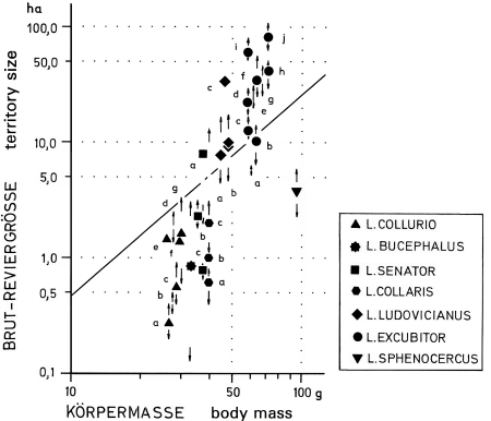 A19 - Fig.10 Territory size and body mass in shrikes Lanius