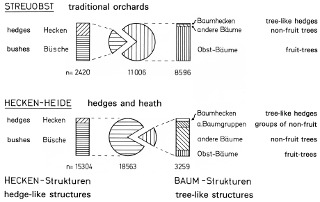 A19 - Fig.30 Habitat-differences in the frequency of tree-like and hedge-like structures