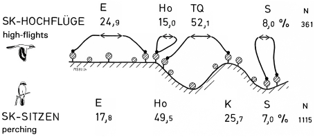 A19 - Fig.44 Visual contact behaviour of the Great Grey Shrike:  three-dimensional utilization of topography