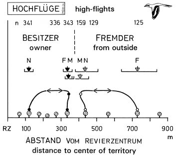 A19 - Fig.45 Visual high-flights of the Great Grey Shrike:  distances to center of territory