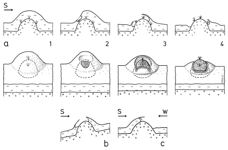 A19 - Fig.49 Changes in snow cover of micro-structures on sheep-pastures