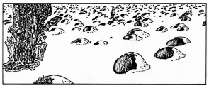 A19 - Fig.50 Melting of snow cover on sheep-pastures