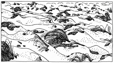 A19 - Fig.51  Melting of snow cover on moorland and wet meadows