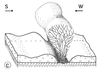 A19 - Fig.53-2  Melting of snow cover at hedge on stone mounds