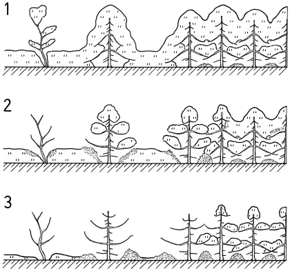 A19 - Fig.56  Melting of snow-cover in wooded landscapes