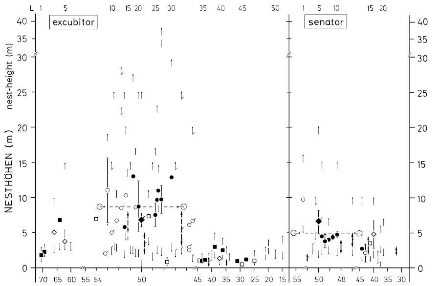 A20 - Fig.8 Absolute height of nests of Lanius excubitor and L. senator, in relation to latitude (°N)