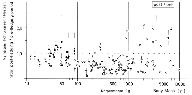 Ratio of post- to pre-fledging period in shrikes, diurnal and nocturnal raptors