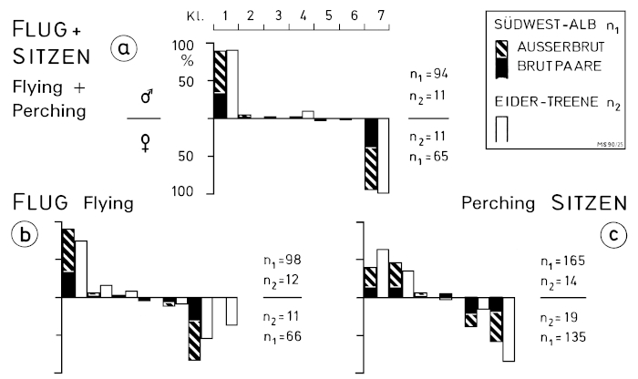 Z15 - Abb.7-1 Sex characteristics on the wing of the Central European Great Grey Shrike L. e. excubitor - from field observations
